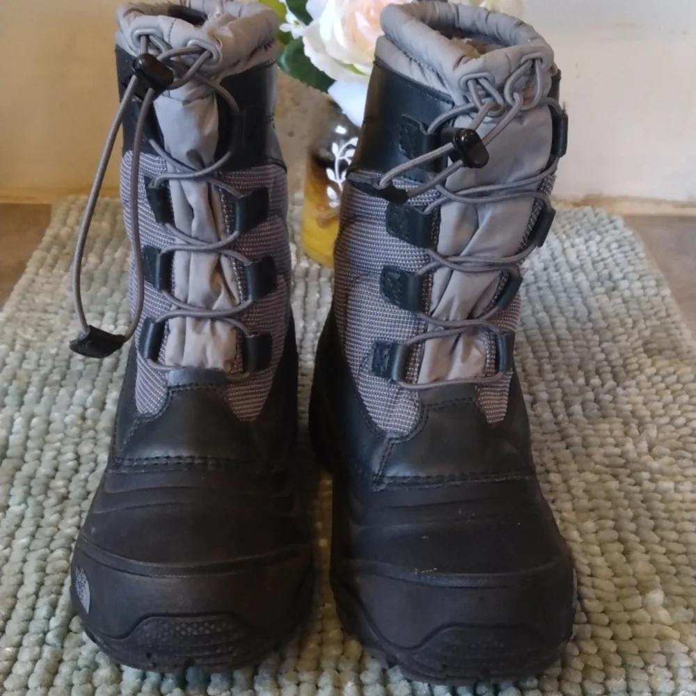 THE NORTH FASE - Picture 2 of 8